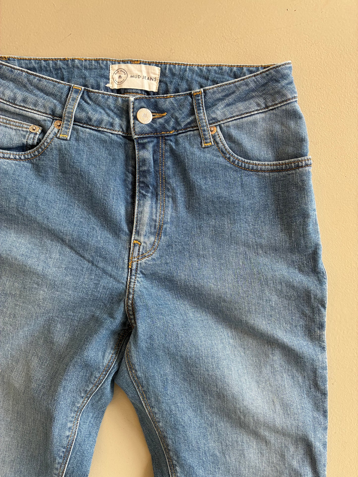Regular Swan - Authentic Indigo - RCY